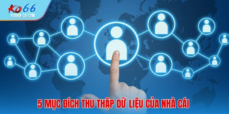 5 mục đích thu thập dữ liệu của nhà cái