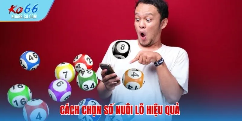 Chọn số đúng giúp tăng xác suất thắng khi cá cược