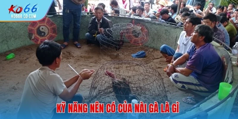 Kỹ năng nên có của nài gà là gì