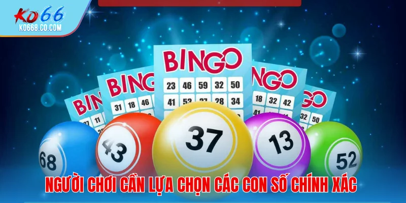 Người chơi cần lựa chọn các con số chính xác