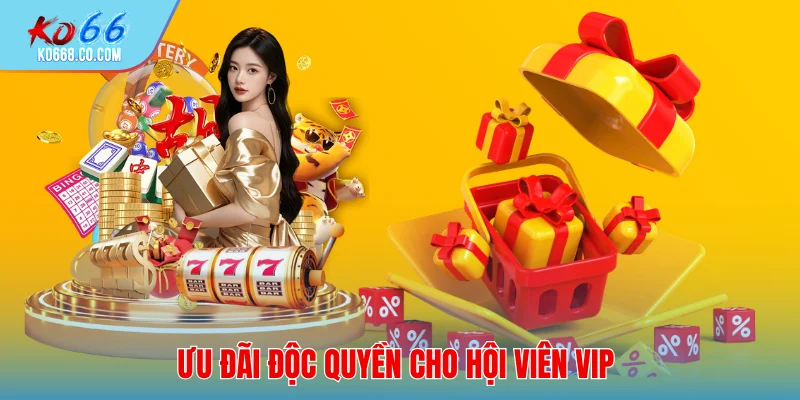 Ưu đãi độc quyền cho hội viên VIP